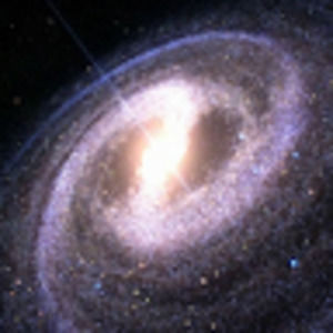 Meet your Posher, Rosalba